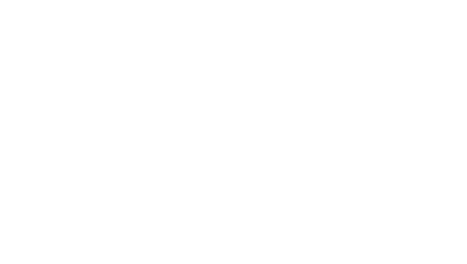 Asset 1FeedBHM